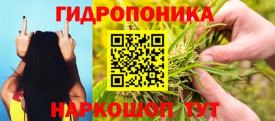 прущая мука Сланцы