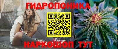 МДПВ Славгород