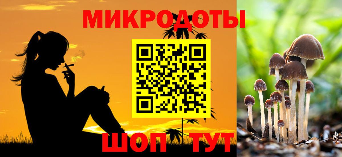 Псилоцибиновые грибы Psilocybine cubensis Алушта